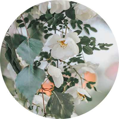 1e3bfc45f0bf47a4a967e65f815c5cff.png
