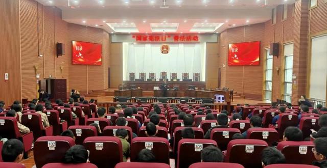 国家宪法日，常德学子沉浸式感受法治力量